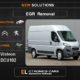 EGR Off Peugeot-Citroen Visteon DCU102 Electronics Cars Automotive Software