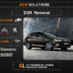 EGR Off Peugeot-Citroen Siemens SID807 Electronics Cars Automotive Software