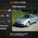 EGR Off Peugeot-Citroen Siemens SID801 Electronics Cars Automotive Software
