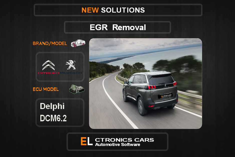EGR Off Peugeot-Citroen Delphi DCM6.2 Electronics Cars Automotive Software