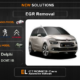 EGR Off Peugeot-Citroen Delphi DCM7.1B Electronics Cars Automotive Software