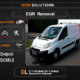 EGR Off Peugeot-Citroen Delphi DCM3.5 Electronics Cars Automotive Software