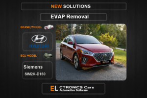 Evap OFF kia-hyundai Siemens SIM2K D160 Electronics cars Automotive software