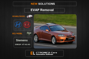 Evap OFF kia-hyundai Siemens SIM2K-47-42-43 Electronics cars Automotive software