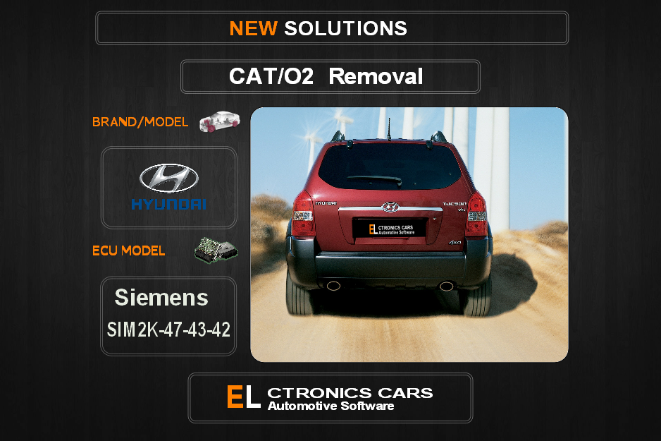 Lambda O2 removal kia-hyundai Siemens SIM2K 47-42-43 Electronics cars Automotive software