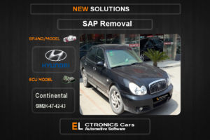 SAP OFF kia-hyundai Siemens SIM2K 260-261 Electronics cars Automotive software