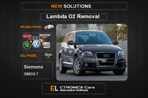 Lambda O2 removal Volkswagen-Group Siemens Simos7 Electronics cars Automotive software