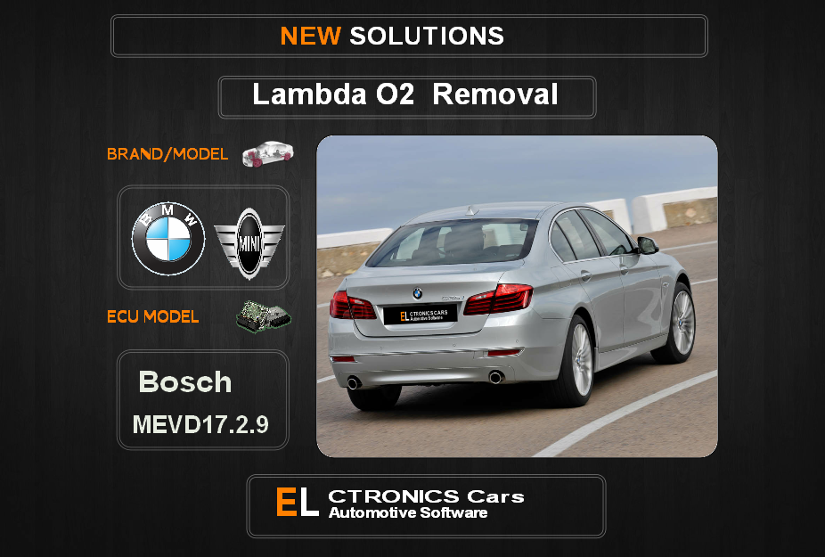 Lambda O2 removal Bmw-Mini Bosch MEVD17.2.9 Electronics cars Automotive software