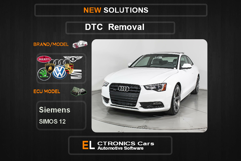 DTC OFF Volkswagen-Group Siemens Simos12 Electronics cars Automotive software
