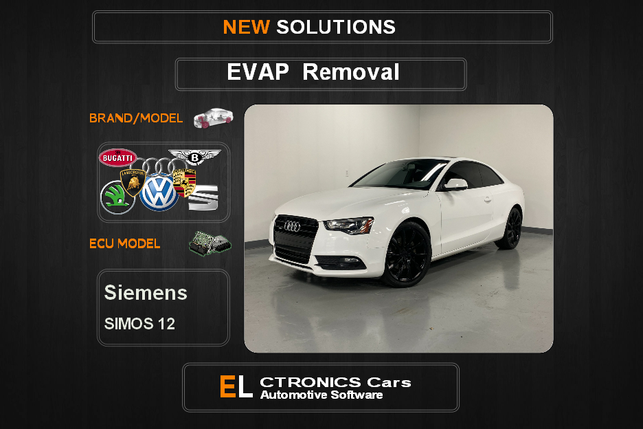 Evap OFF Volkswagen-Group Siemens  Simos12 Electronics cars Automotive software