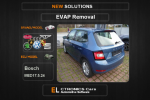 Evap OFF Volkswagen-Group Bosch MED17.5.24 Electronics cars Automotive software