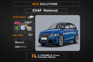 Evap OFF Volkswagen-Group Bosch MED17.1.1 Electronics cars Automotive software