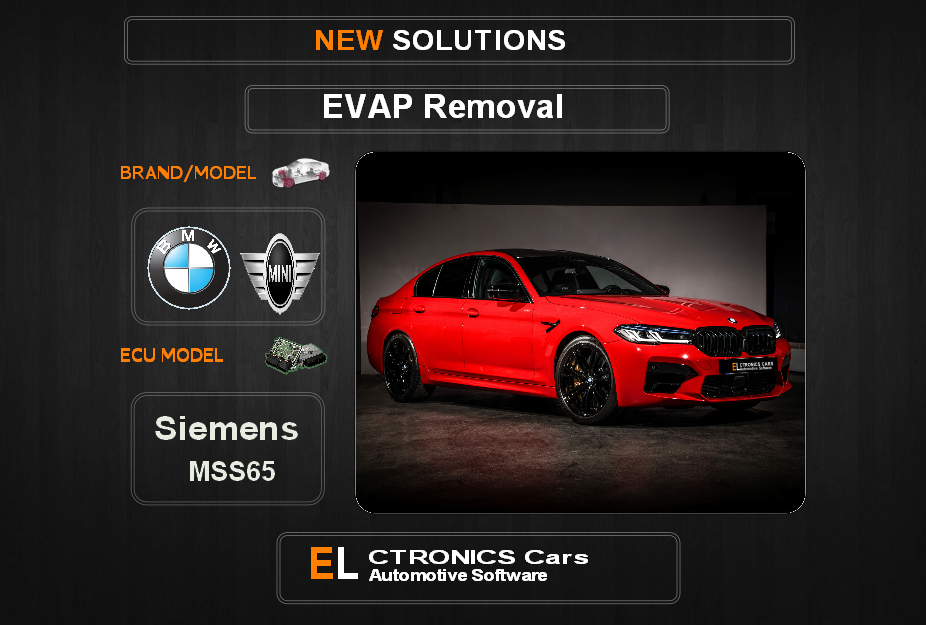 Evap OFF Bmw-Mini Siemens MSS65 Electronics cars Automotive software