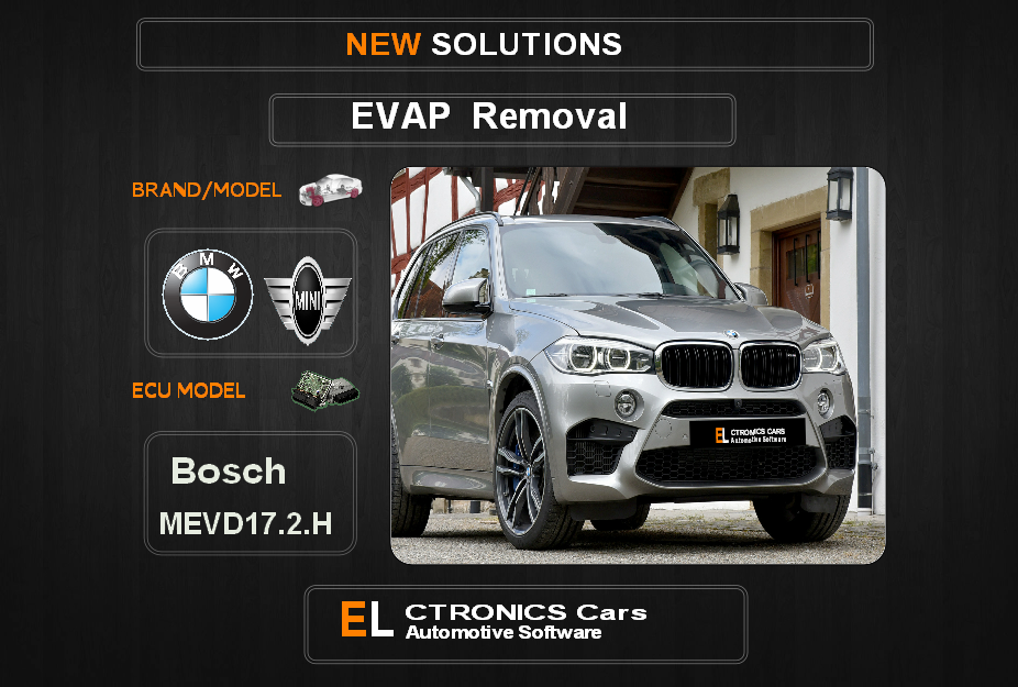 Evap OFF Bmw-Mini Bosch MEVD17.2.H Electronics cars Automotive software