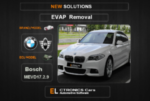 Evap OFF Bmw-Mini Bosch MEVD17.2.9 Electronics cars Automotive software