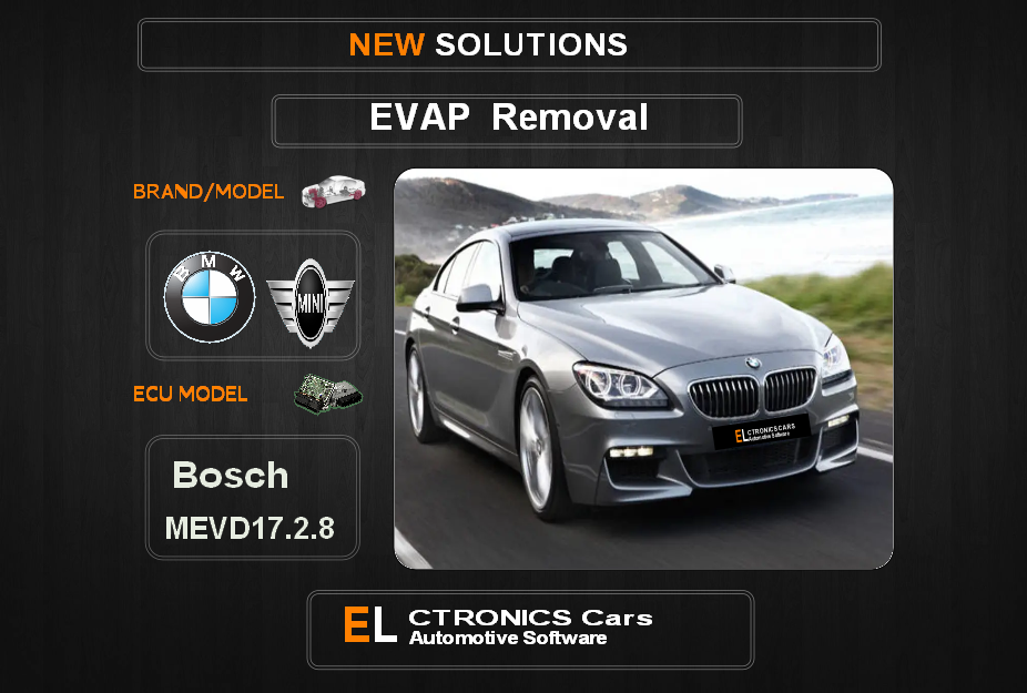 Evap OFF Bmw-Mini Bosch MEVD17.2.8 Electronics cars Automotive software