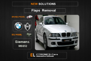 Swirl flaps Off Bmw-Mini Siemens MSS52 Electronics Cars Automotive Software