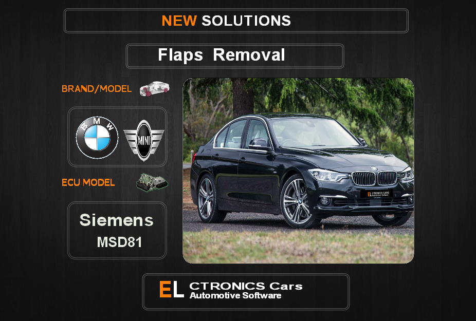 Swirl flaps Off Bmw-Mini Siemens MSD81 Electronics Cars Automotive Software