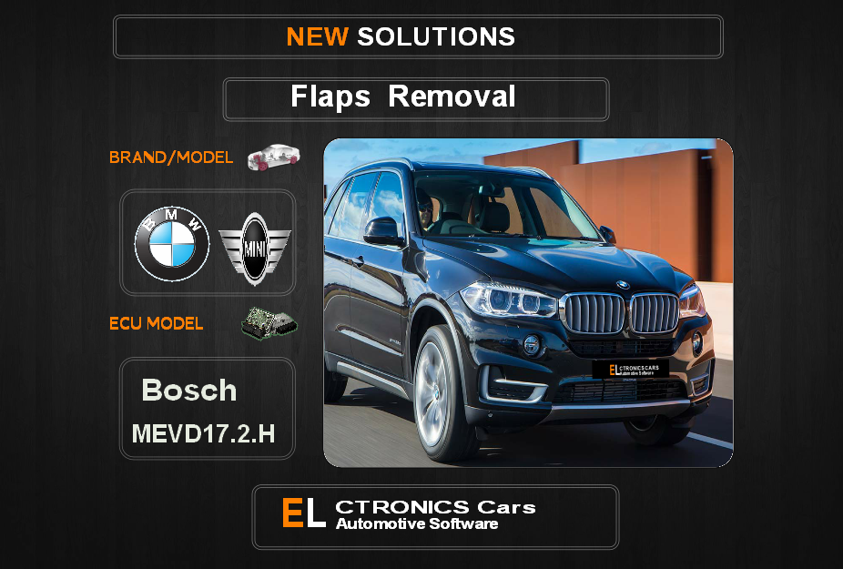 Swirl flaps Off Bmw-Mini Bosch MEVD17.2.H Electronics Cars Automotive Software