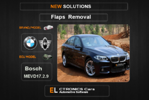 Swirl flaps Off Bmw-Mini Bosch MEVD17.2.9 Electronics Cars Automotive Software