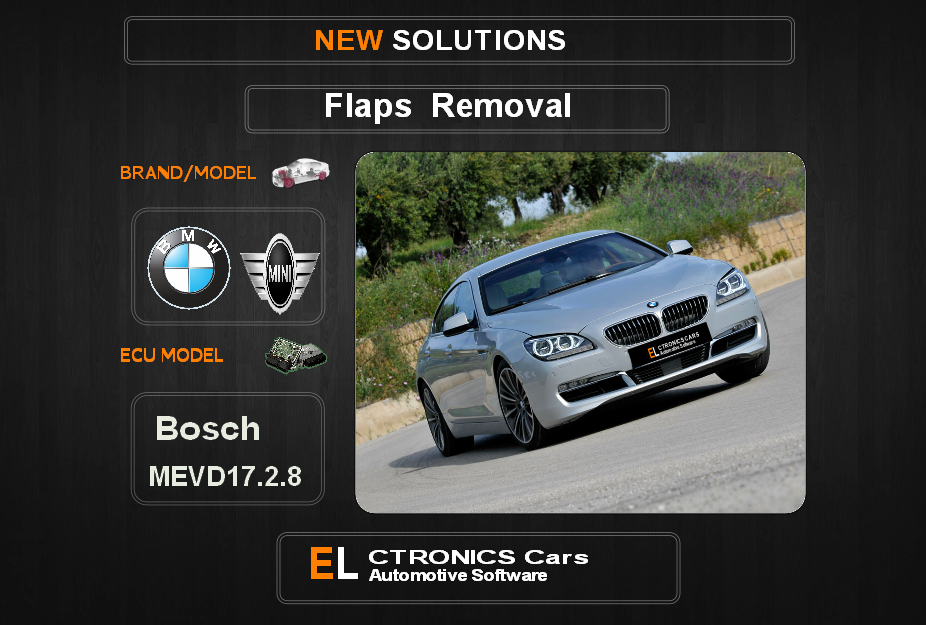 Swirl flaps Off Bmw-Mini Bosch MEVD17.2.8 Electronics Cars Automotive Software