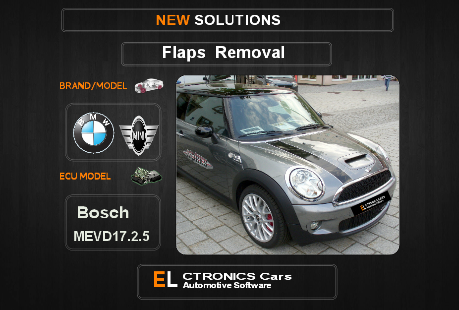 Swirl flaps Off Bmw-Mini Bosch MEVD17.2.5 Electronics Cars Automotive Software