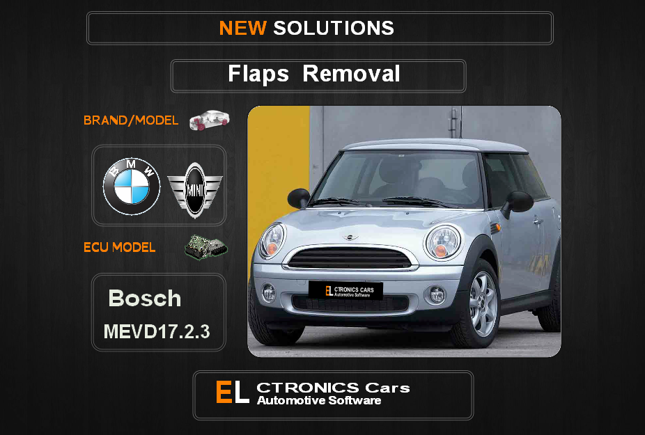 Swirl flaps Off Bmw-Mini Bosch MEVD17.2.3 Electronics Cars Automotive Software