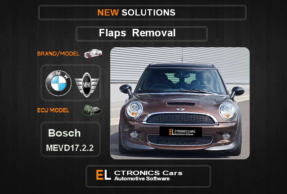 Swirl flaps Off Bmw-Mini Bosch MEVD17.2.2 Electronics Cars Automotive Software