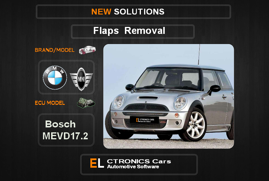 Swirl flaps Off Bmw-Mini Bosch MEVD17.2 Electronics Cars Automotive Software