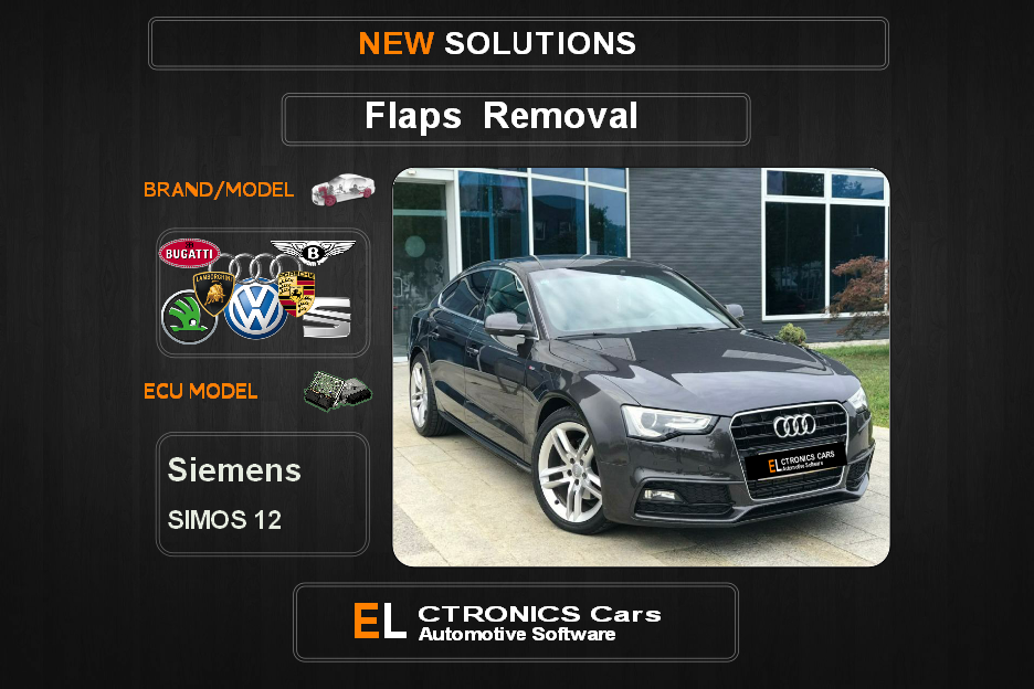 Swirl flaps Off Volkswagen-Group Siemens Simos12 Electronics Cars Automotive Software