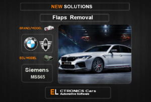 Swirl flaps Off Bmw-Mini Siemens MSS65 Electronics Cars Automotive Software