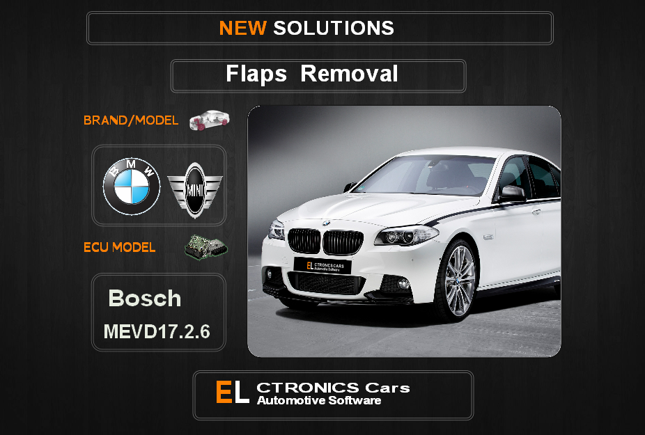 Swirl flaps Off Bmw-Mini Bosch MEVD17.2.6 Electronics Cars Automotive Software