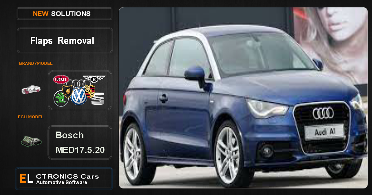 flaps Off Volkswagen-Group Bosch MED17.5.20 Electronics Cars